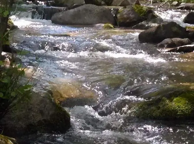 El Mirador * 부르고혼도